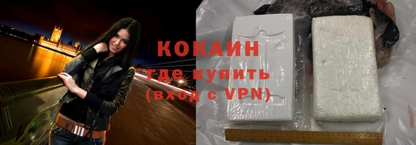 ГАЛЛЮЦИНОГЕННЫЕ ГРИБЫ Гатчина