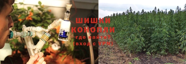 тгк Галич
