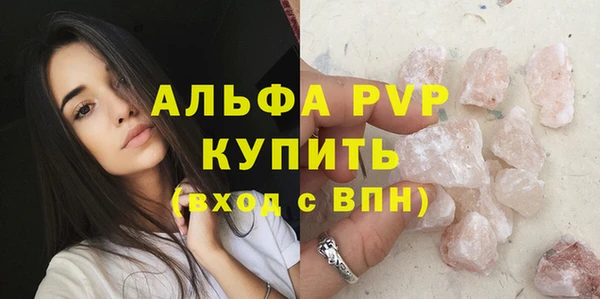 крисы Гвардейск