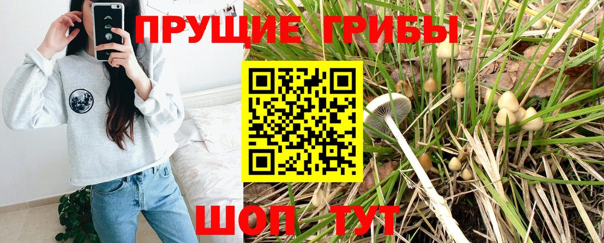 Галлюциногенные грибы MAGIC MUSHROOMS Когалым