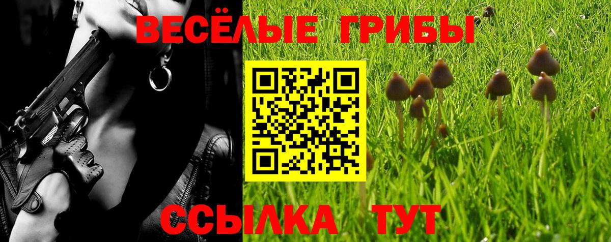 Галлюциногенные грибы мухоморы  Вход с VPN  Когалым 