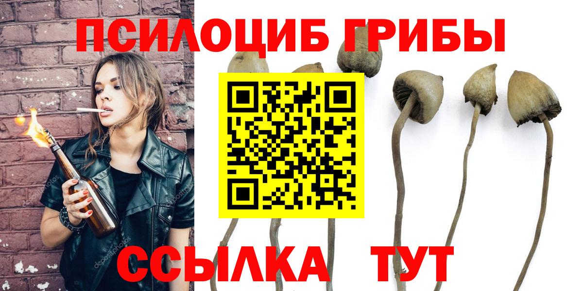 Псилоцибиновые грибы GOLDEN TEACHER Когалым